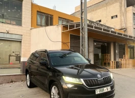 سكودا | SKODA كودياك 2019